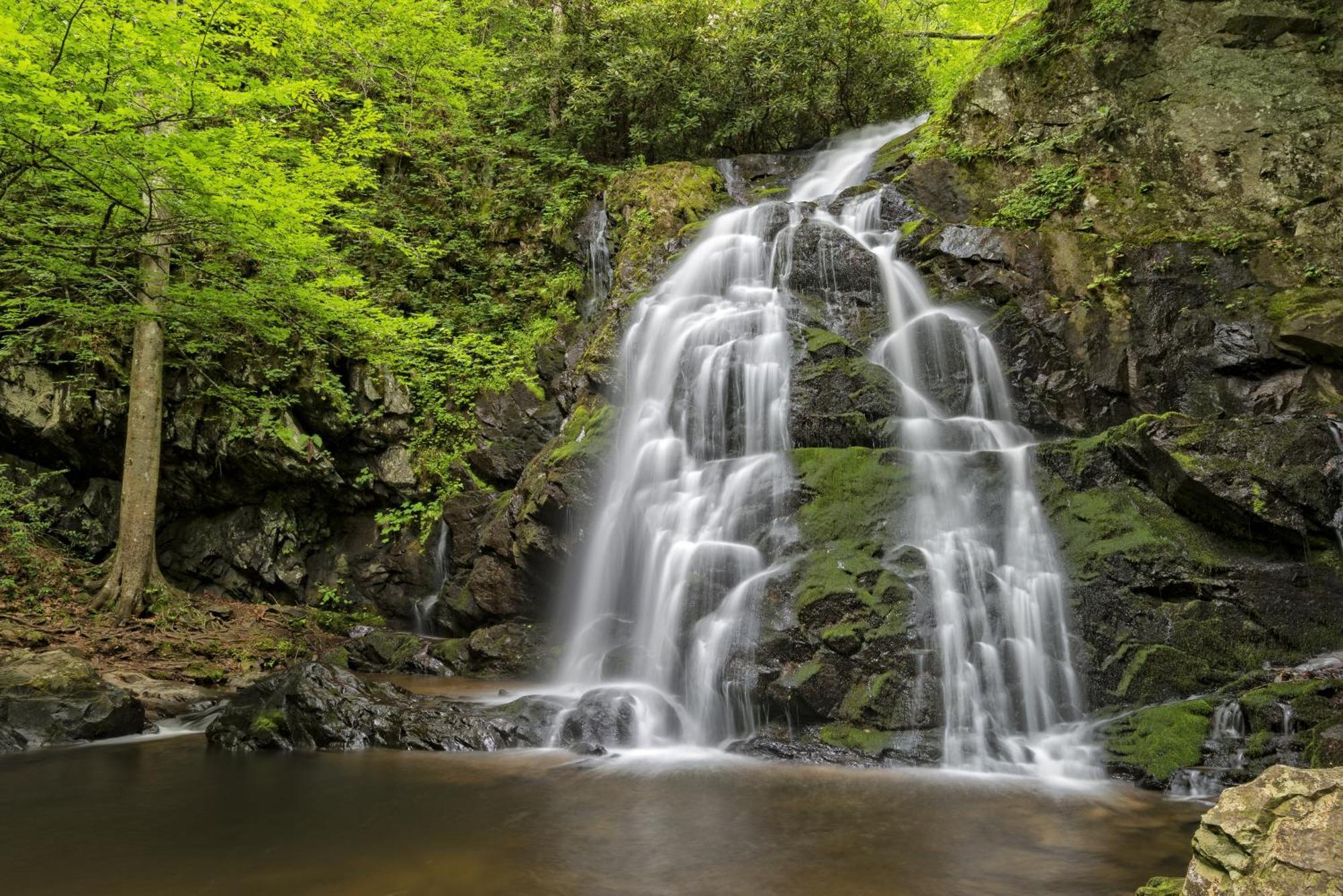 Time To Cuddle, Wifi, Near Pigeon Forge, 1089 Free Tickets Each Paid Day, Dollywood And More Exteriör bild